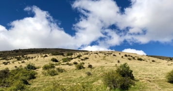 Mt Beetham Walking Track