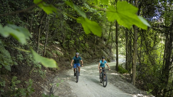 Shotover Gorge Trail credit Geoff Marks 491